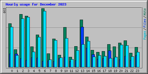 Hourly usage for December 2023