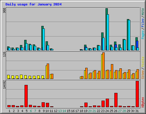 Daily usage for January 2024