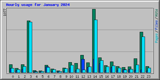 Hourly usage for January 2024