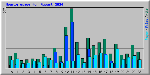 Hourly usage for August 2024