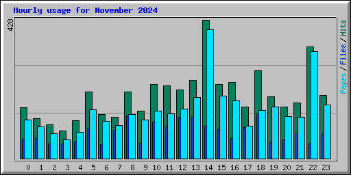 Hourly usage for November 2024