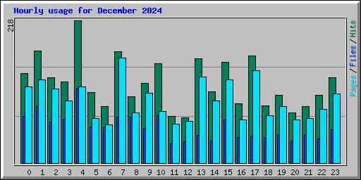 Hourly usage for December 2024