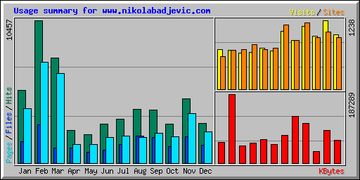 Usage summary for www.nikolabadjevic.com